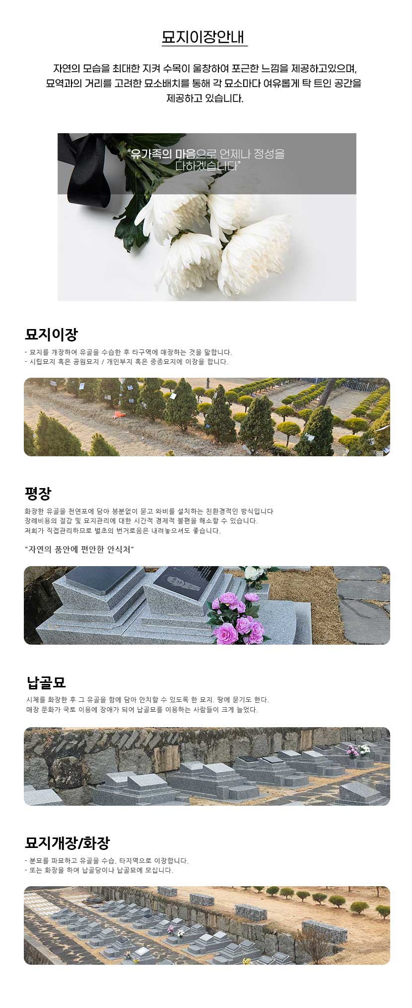 금산묘지이장