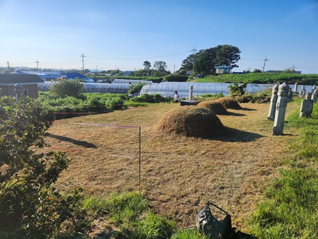 놀뫼장의사 PC 이미지 5575470