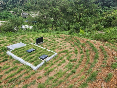 놀뫼장의사 PC 이미지 5575471