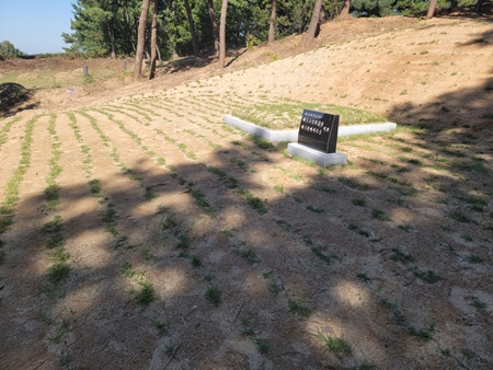 놀뫼장의사 PC 이미지 5575472