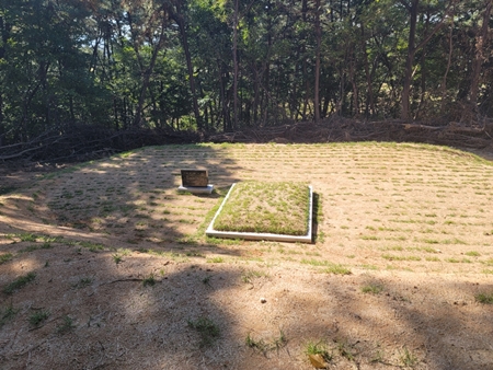 놀뫼장의사 PC 이미지 5575479