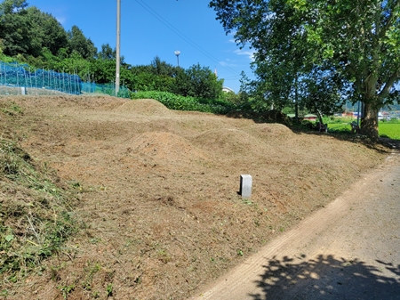 놀뫼장의사 PC 이미지 5575469