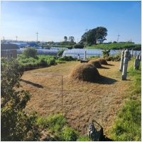 금산묘지관리-5575470