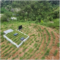 금산묘지관리-5575471