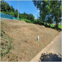 금산묘지관리-5575469