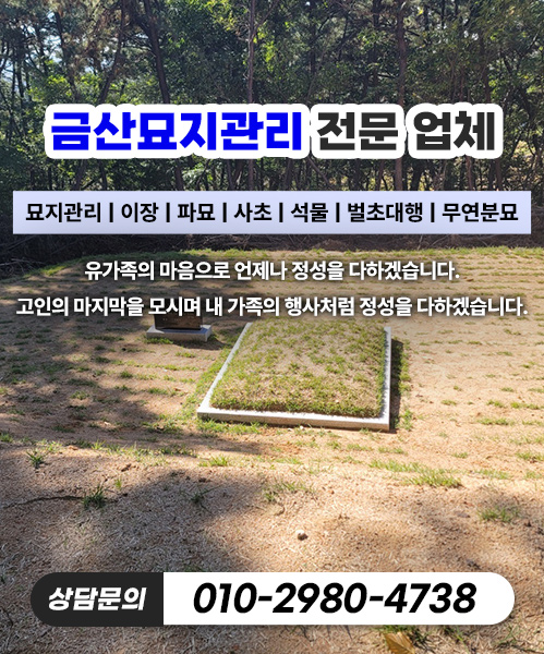 놀뫼장의사 모바일 비주얼 0